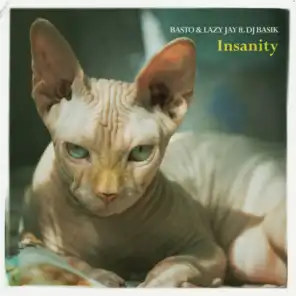Insanity (feat. DJ Basik)