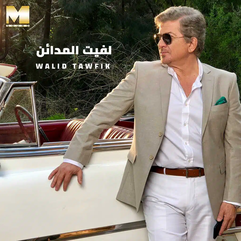 لفيت المدائن