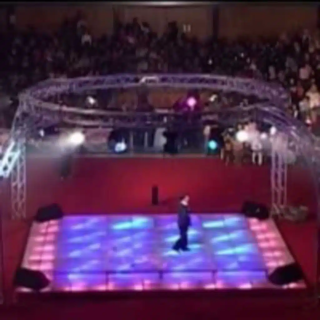 قلنا يا أسامة