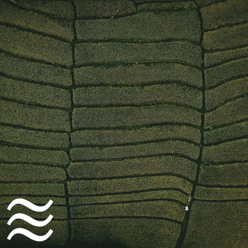 Grey Sleeping Noises