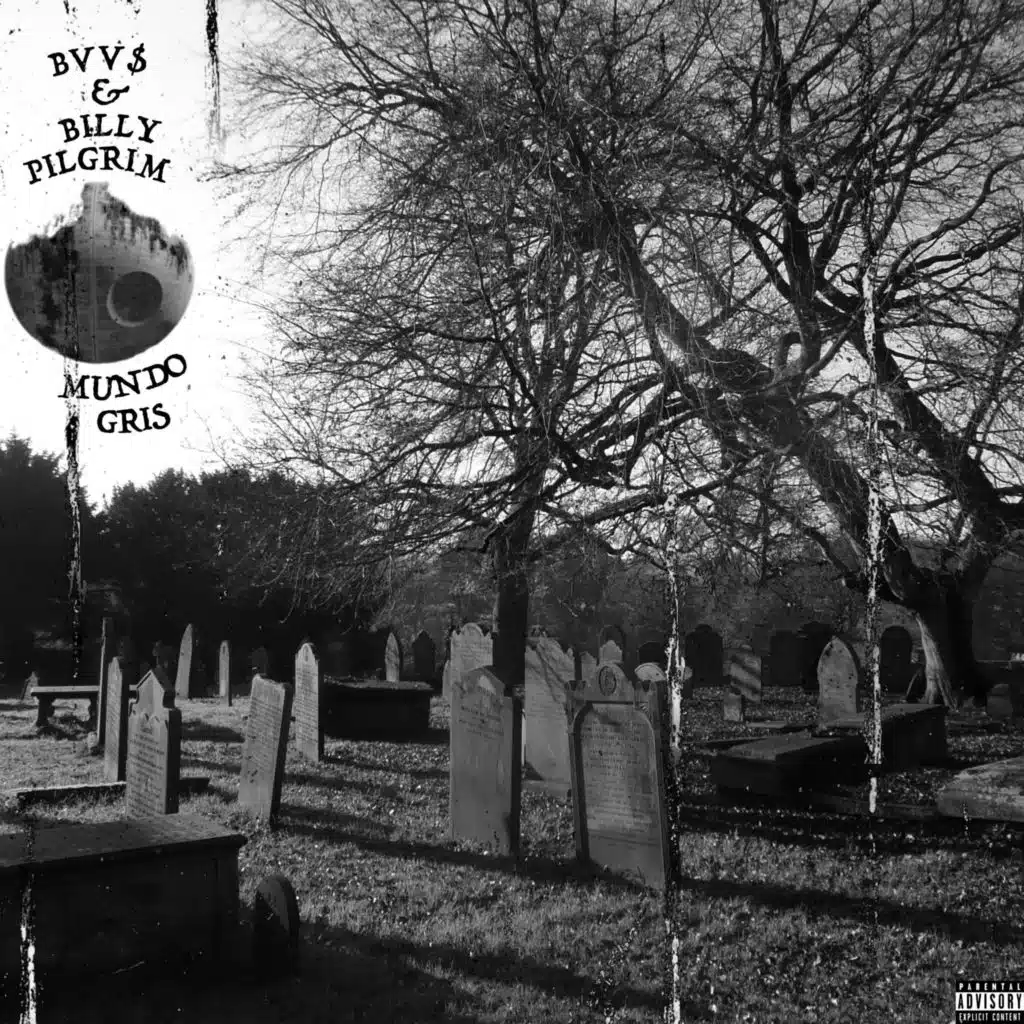 MUNDO GRIS (feat. BVV$)