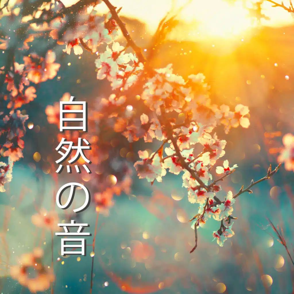 深いリラクゼーションと瞑想のための自然の音