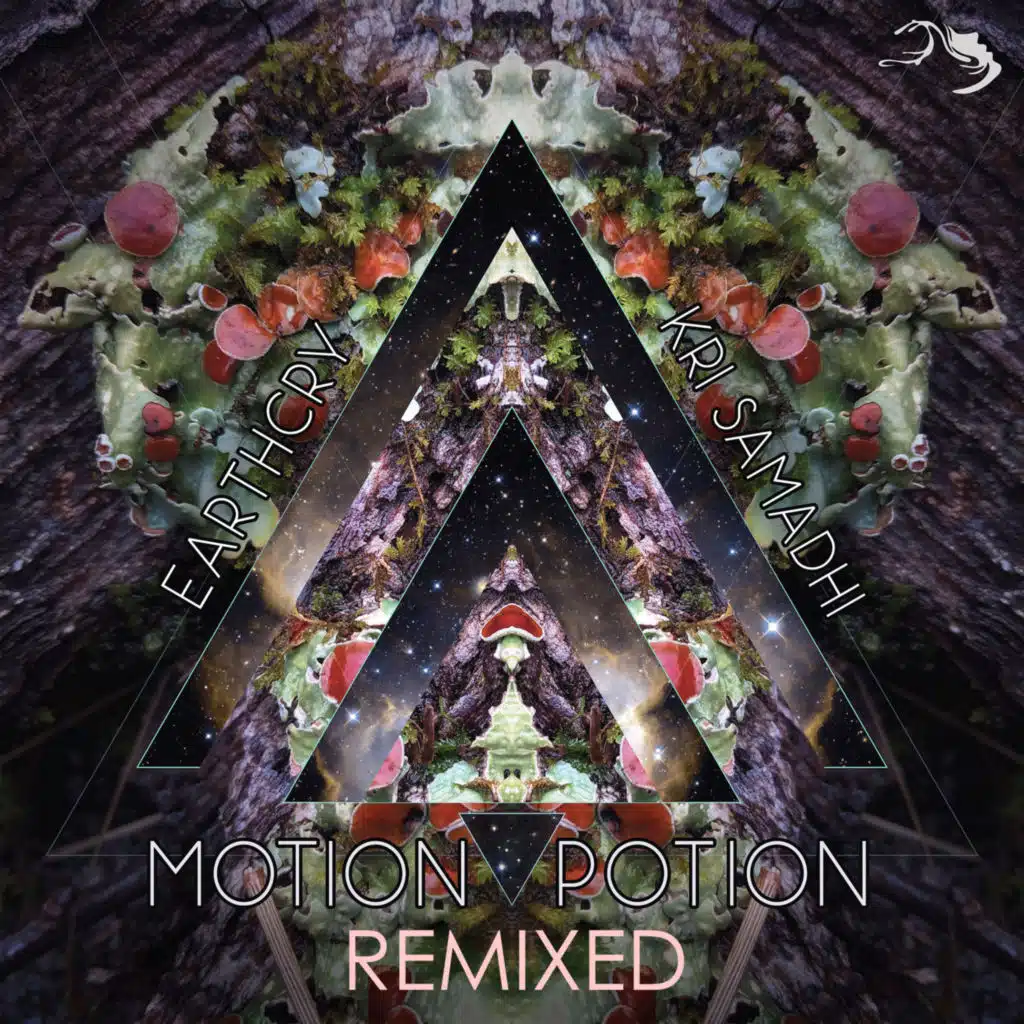 Kri Samadhi, EarthCry