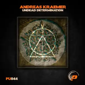Andreas Kraemer