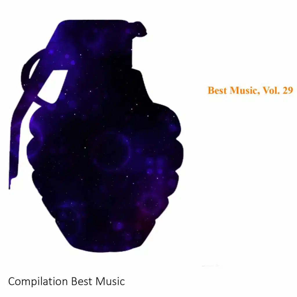 Best Music, Vol. 29