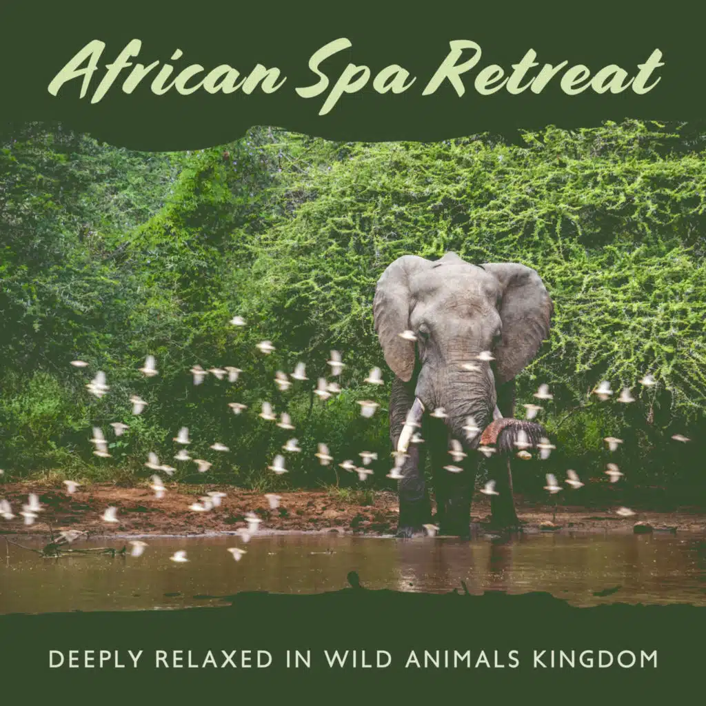 African Spa Retreat: Deeply Relaxed in Wild Animals Kingdom - Healing Exotic New Age Music