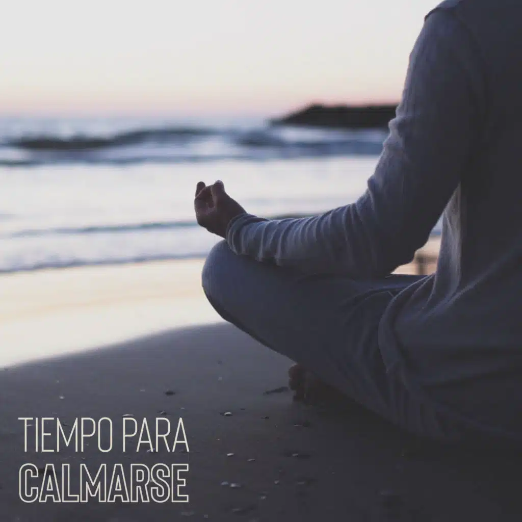 Tiempo para Calmarse: Música de Meditatción para Calmar las Emociones Negativas, Eliminar el Estrés, Deshacerse de los Sentimientos de Miedo e Ira