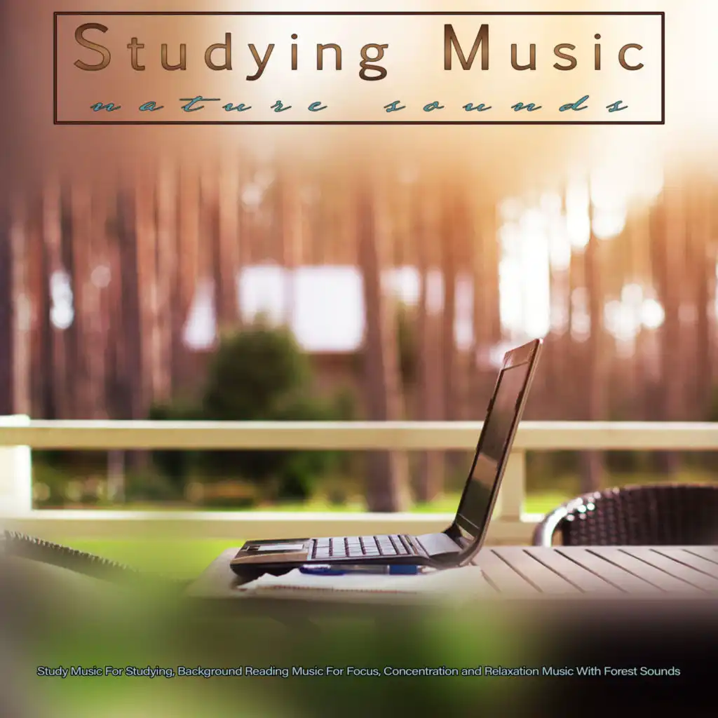 Study Music For Concentration & Study Music