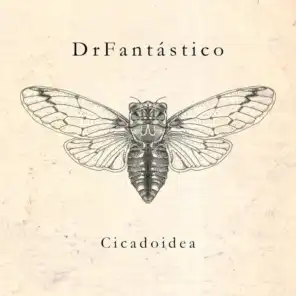 Cicadoidea