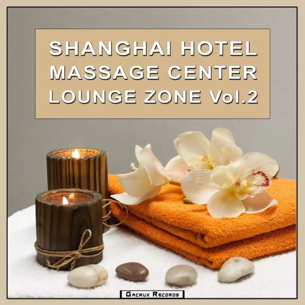 Shanghai Hotel Massage Center Lounge Zone, Vol. 2