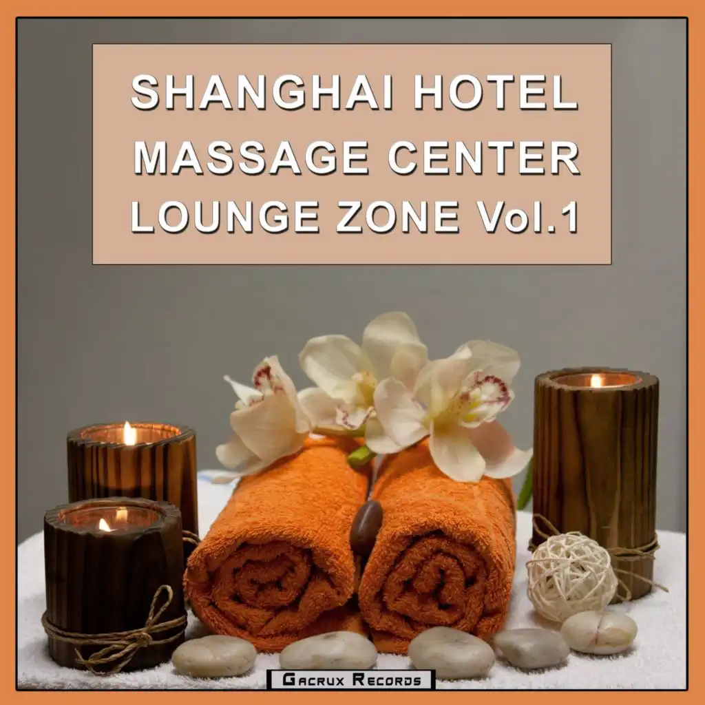 Shanghai Hotel Massage Center Lounge Zone, Vol. 1