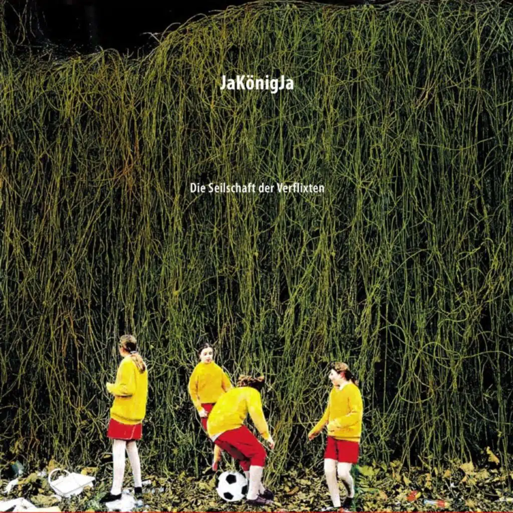 Die Seilschaft der Verflixten