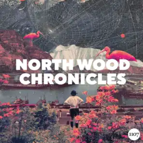 North Wood Chronicles
