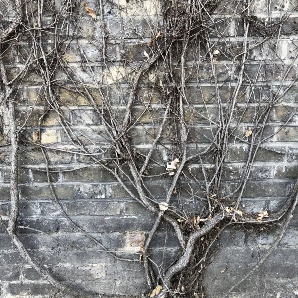 I Just Exist Not Live