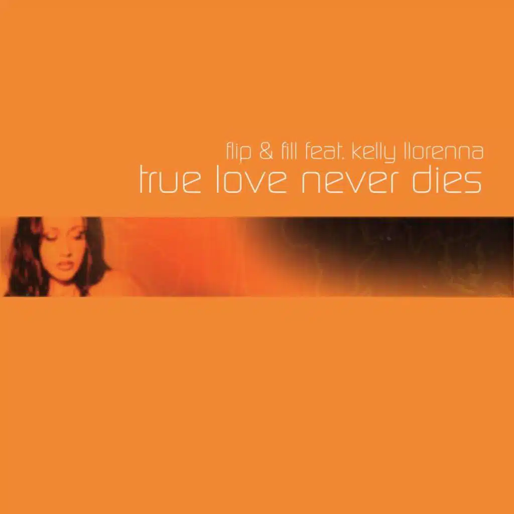 True Love Never Dies (Darren Styles Remix) [feat. Kelly Llorenna]