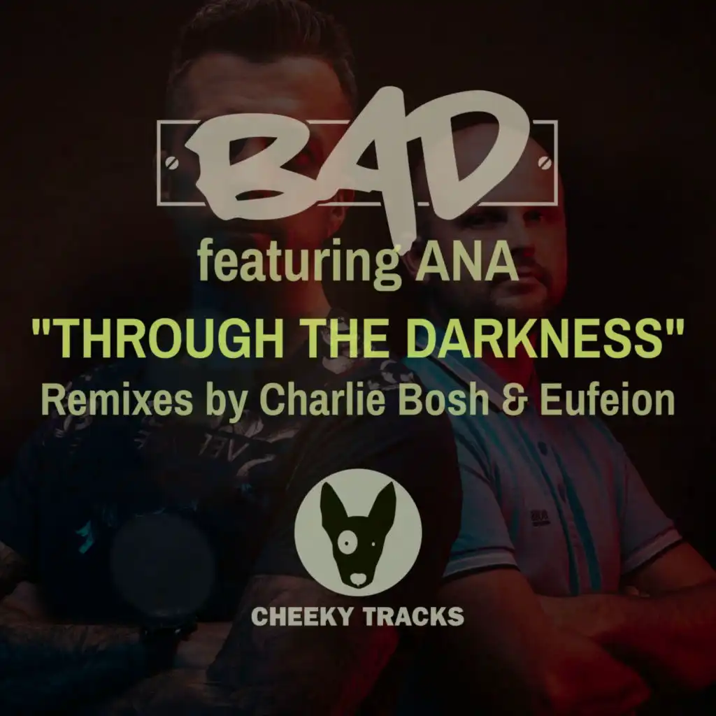 Through The Darkness (Radio Edit) [feat. Ana]
