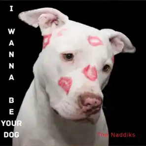 I Wanna Be Your Dog