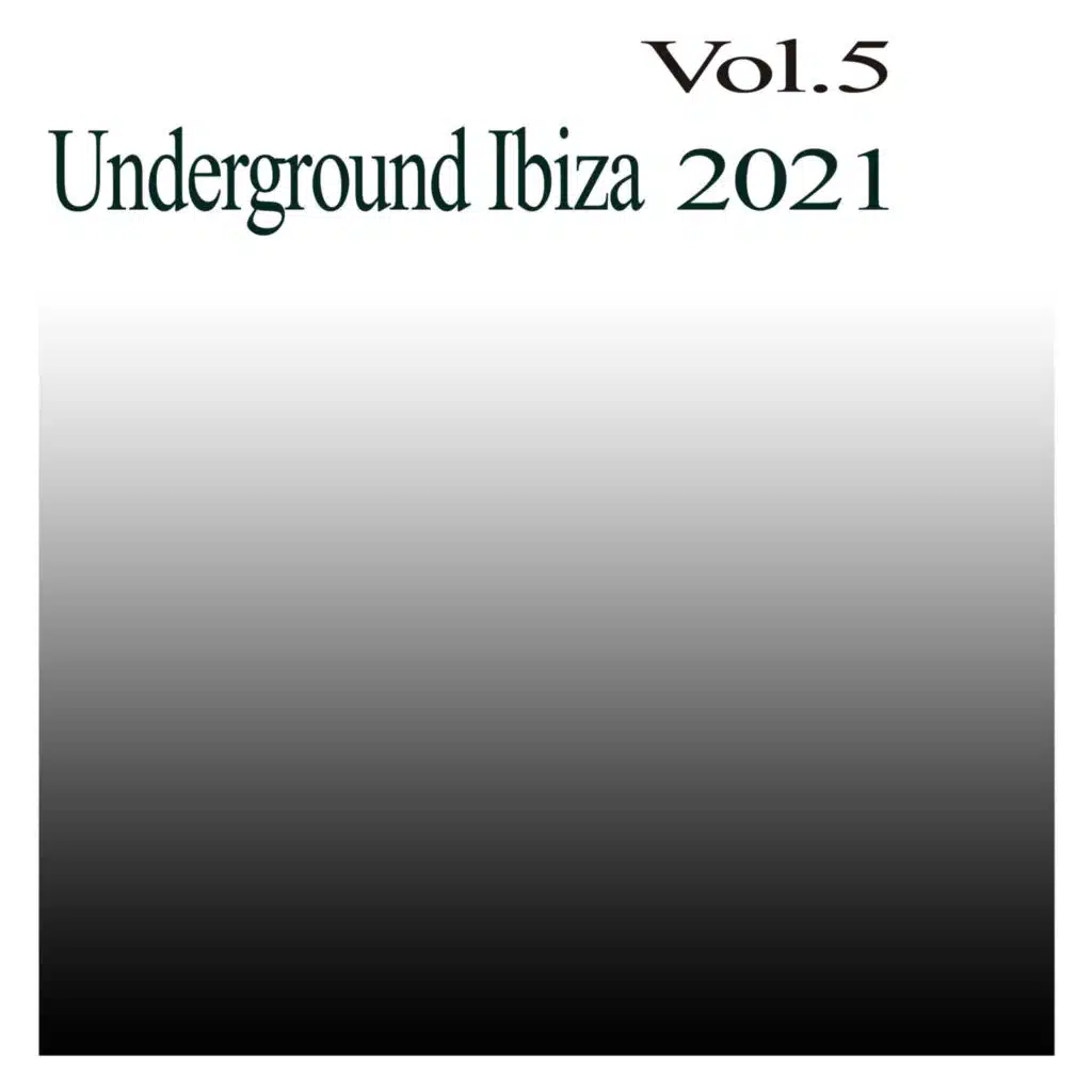 Underground Ibiza 2021, Vol.5
