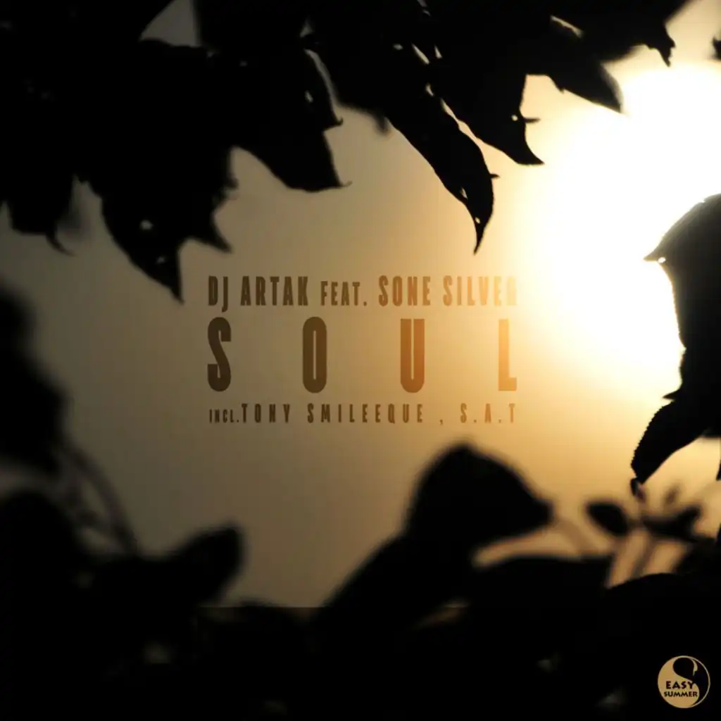 Soul (S.A.T Remix) [feat. Sone Silver]