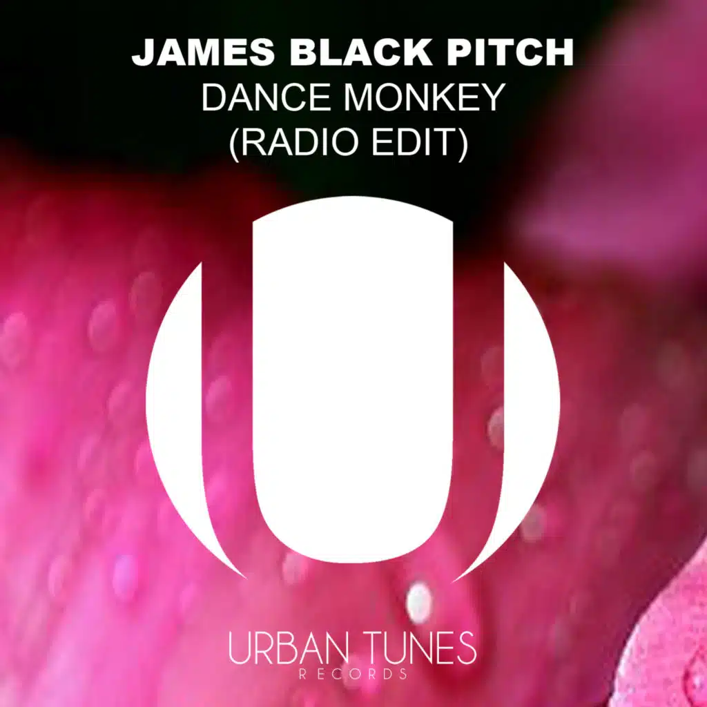 Dance Monkey (Radio Edit)