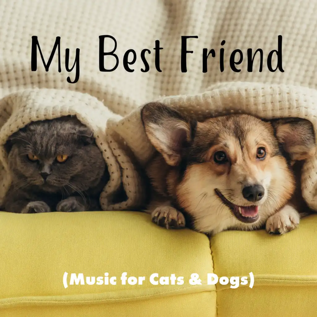 My Best Friend (Music for Cats & Dogs) – Gentle Natural Melodies for Celebrating National Pet Day 2021 with Your Furry Pal