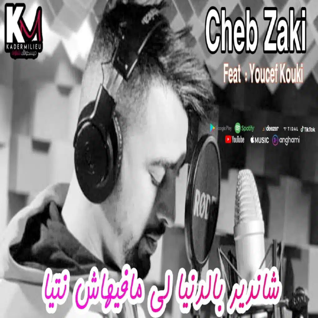 شـا نديـر بالـدنيــا لي مافــيهاش انــتيا