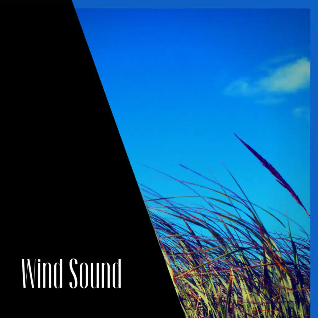 Wind Sound