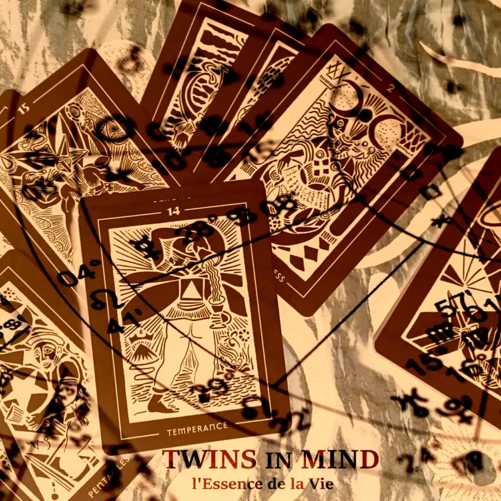 Twins In Mind