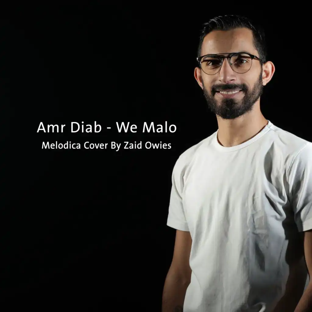 عمرو دياب - وماله | موسيقى على آلة الميلوديكا