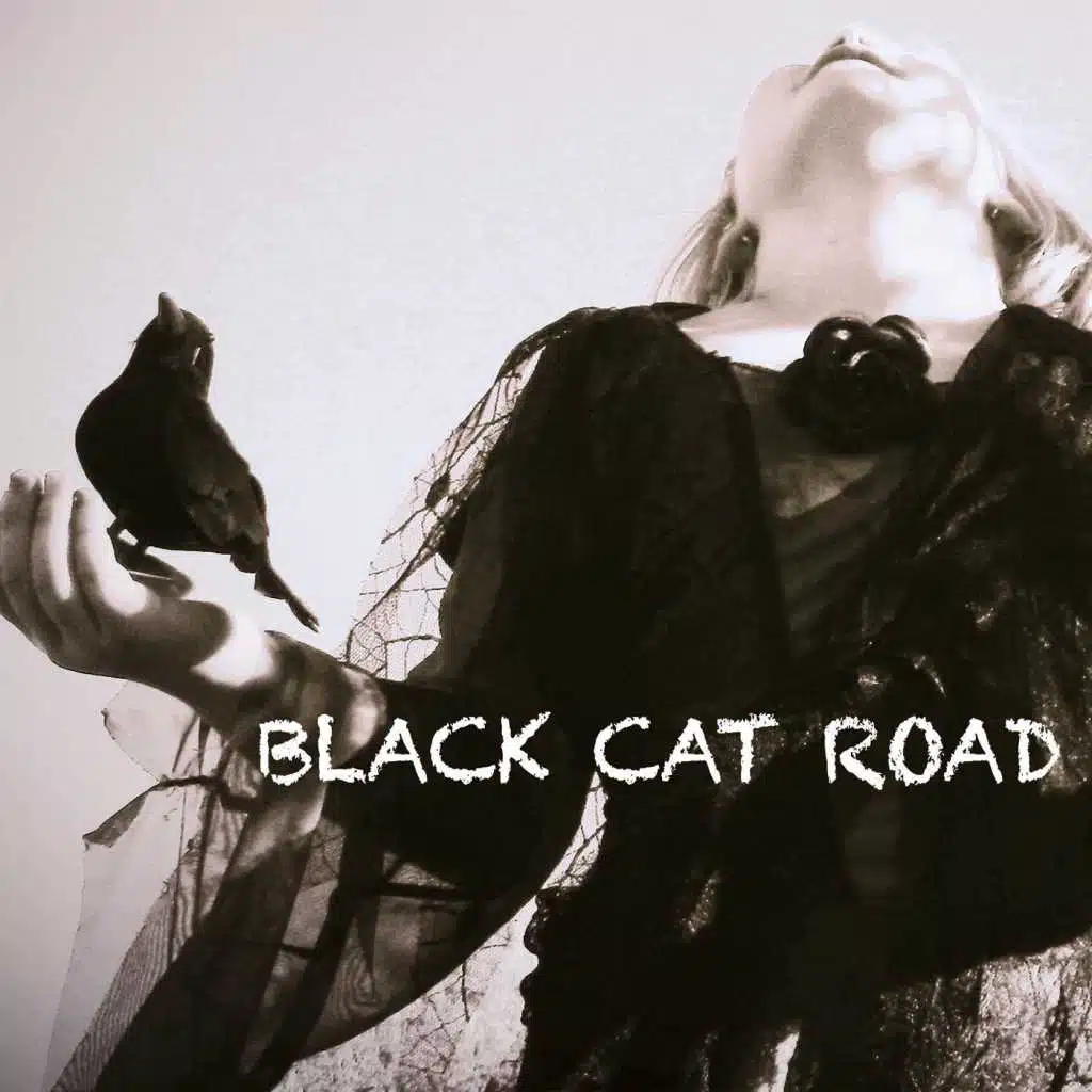 Black Cat Road