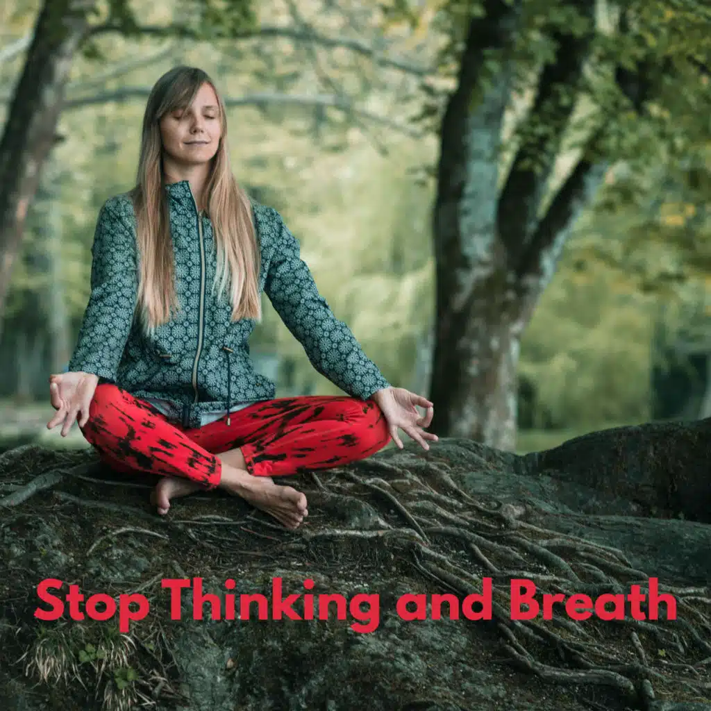 Asian Traditional Music & Best Relaxation Music