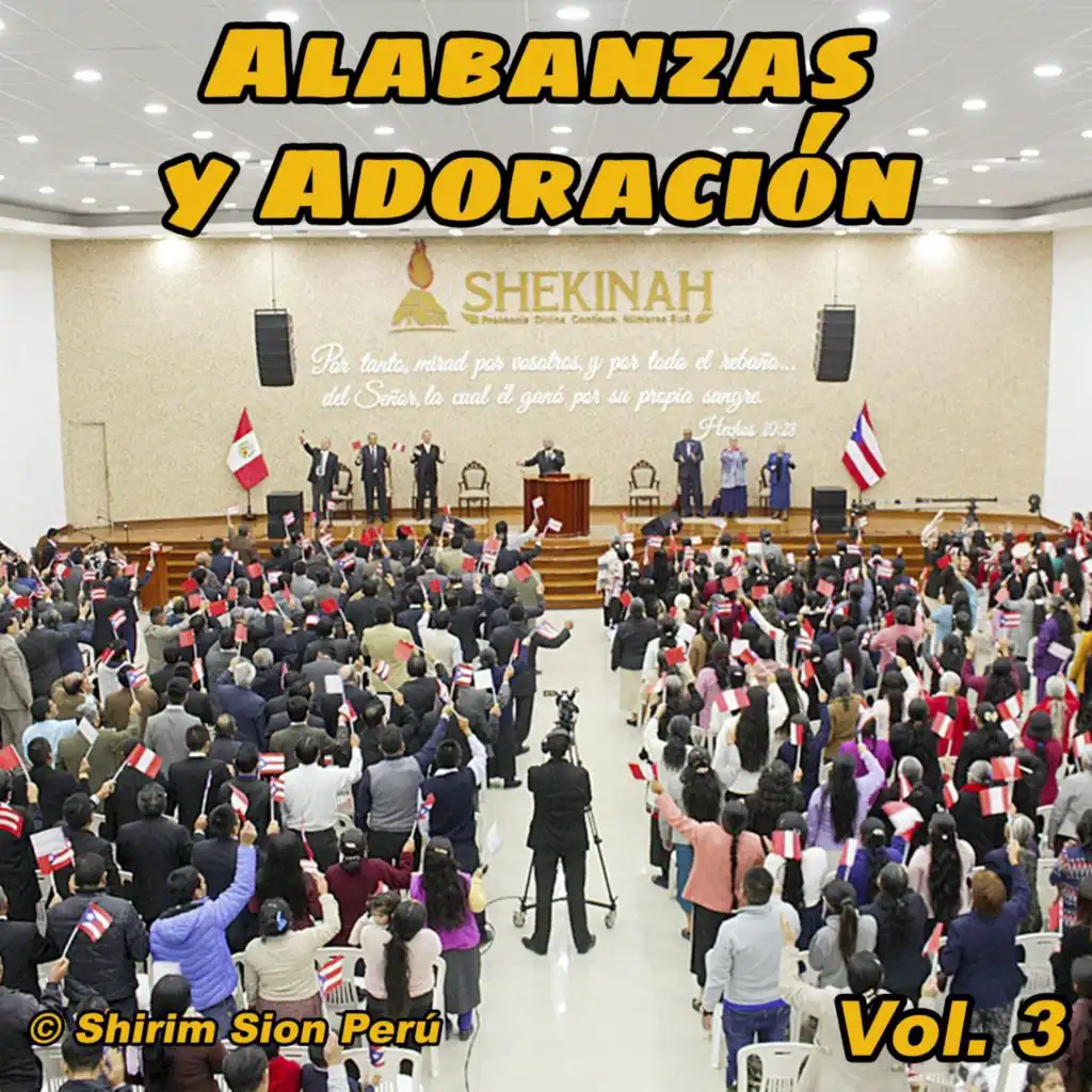 Alabanzas y Adoración, Vol. 3 (En Vivo)