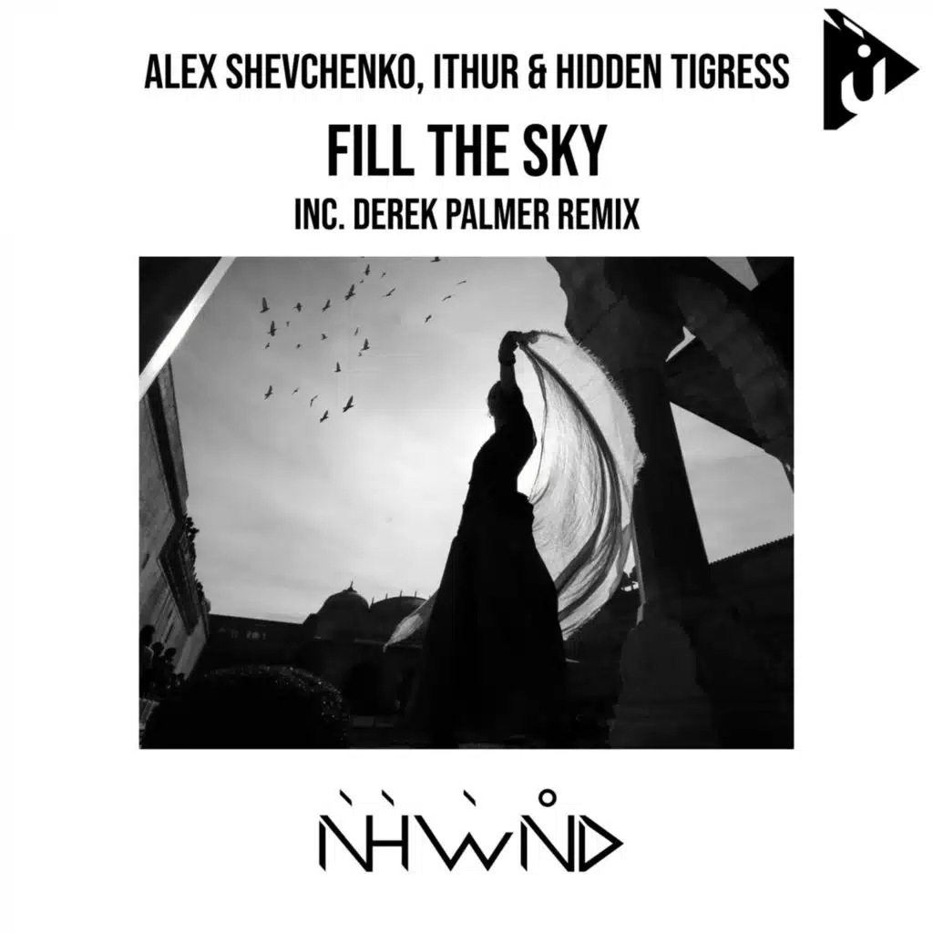 Fill the Sky (Derek Palmer Remix)