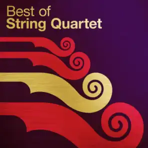 String Quartet No. 15 in D Minor K. 421: III. Menuetto and Trio (Allegretto)