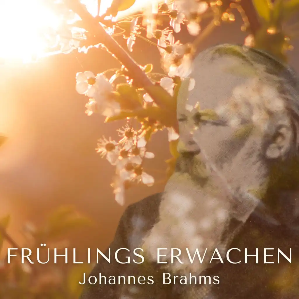 Frühlings Erwachen (432 HZ)