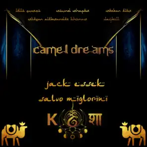Camel Dreams (Sound Shapes)