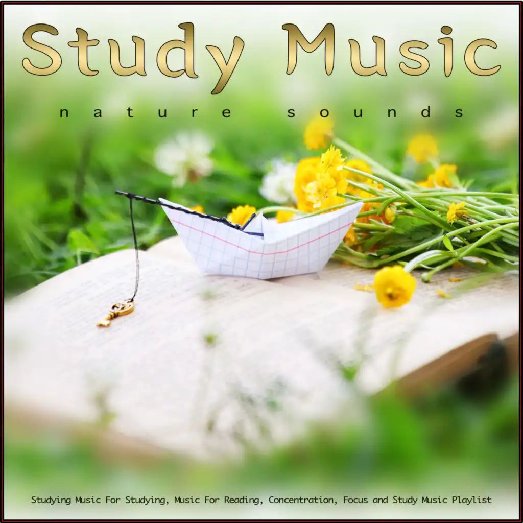 Study Music: Studying Music and Nature Sounds For Studying, Music For Reading, Concentration, Focus and Study Music Playlist