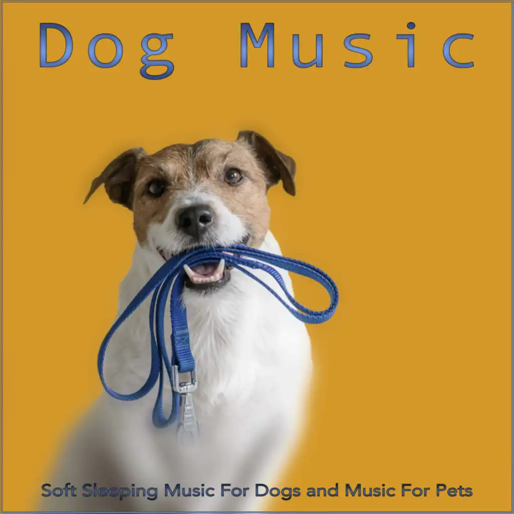 Dog Music, Music For Dogs & Calming Music For Dogs