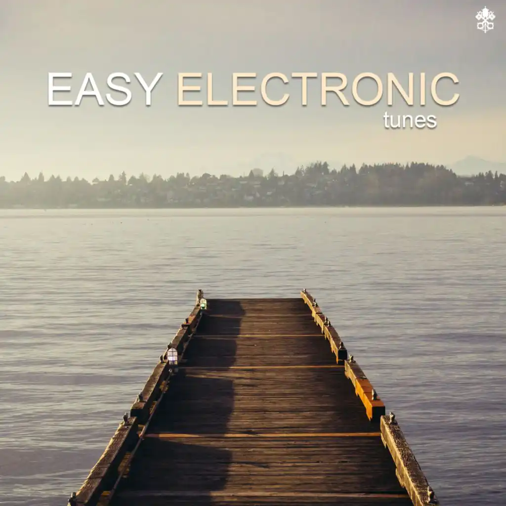 Easy Electronic Tunes