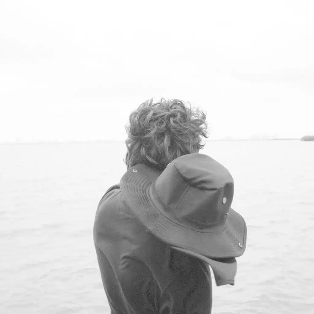 Light and Shadow Under the Olive Tree