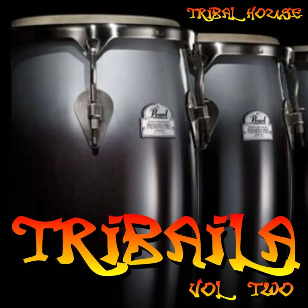 Tribaila - Tribal House, Vol. 2