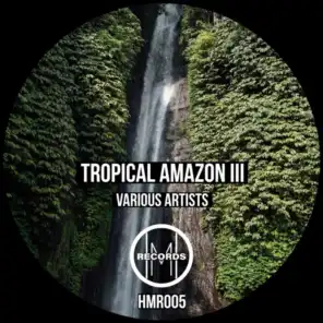 Tropical Amazon III