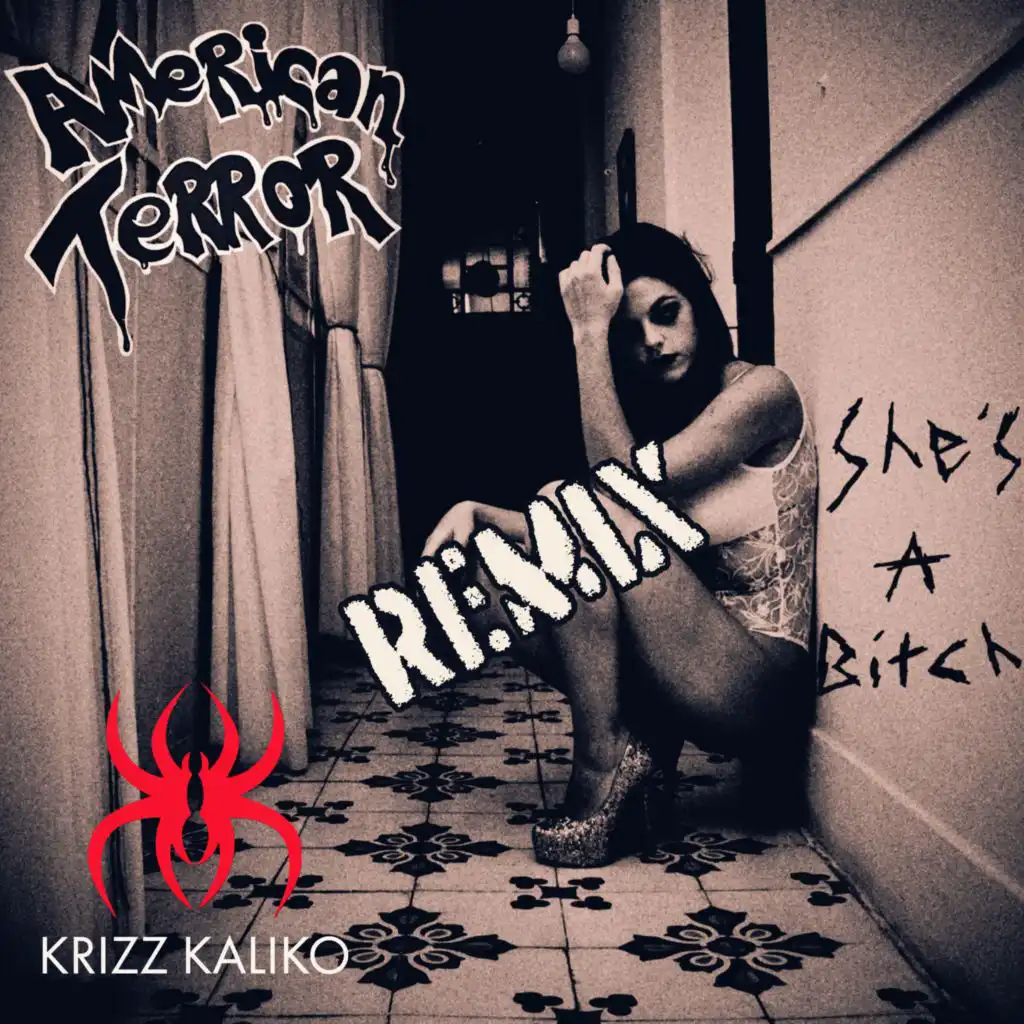 She's A Bitch (feat. Krizz Kaliko) (Remix)