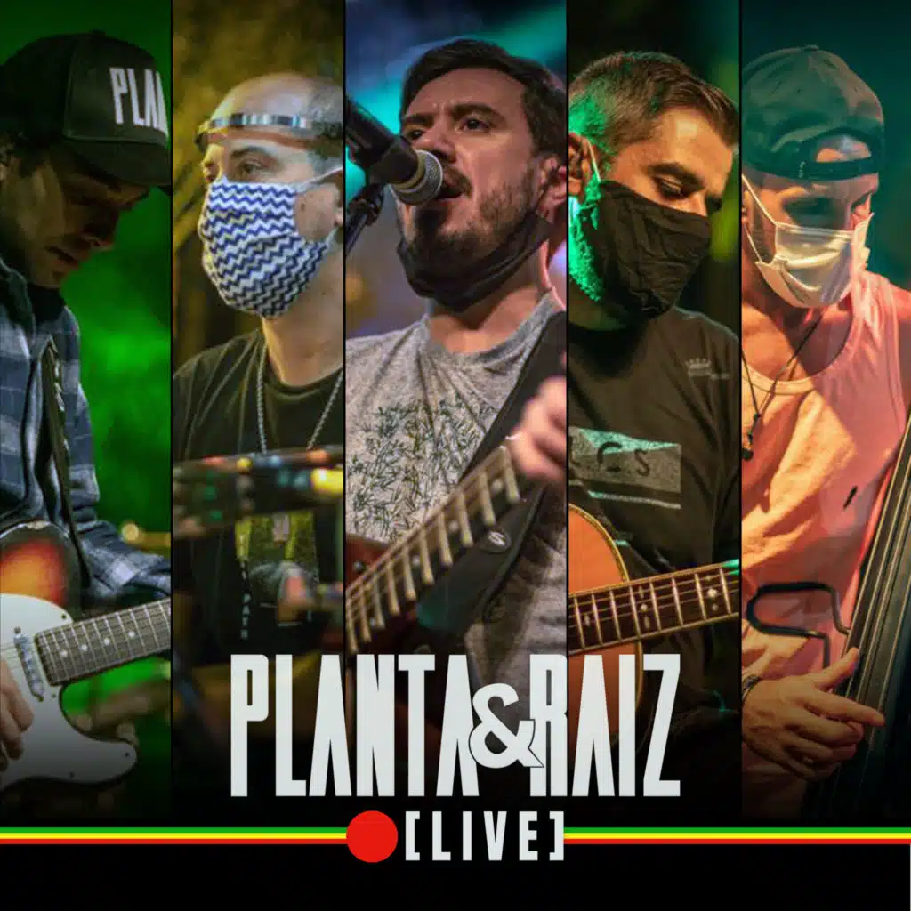 Planta e Raiz Live