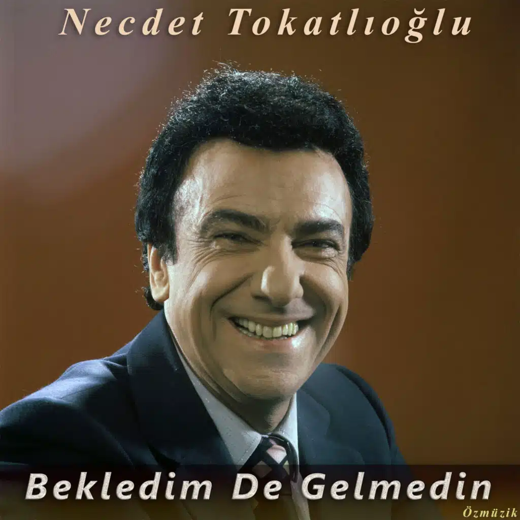 Bekledim De Gelmedin