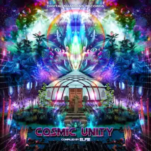 Cosmic Unity (Compiled by Elfie)