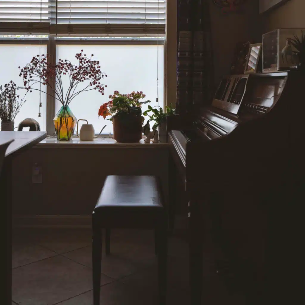 Chopin Nocturne in B flat minor, Op.9 No.1