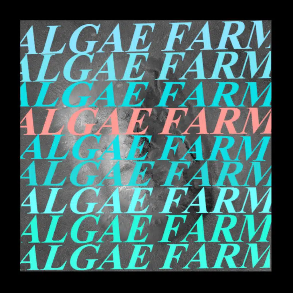 Algae Farm