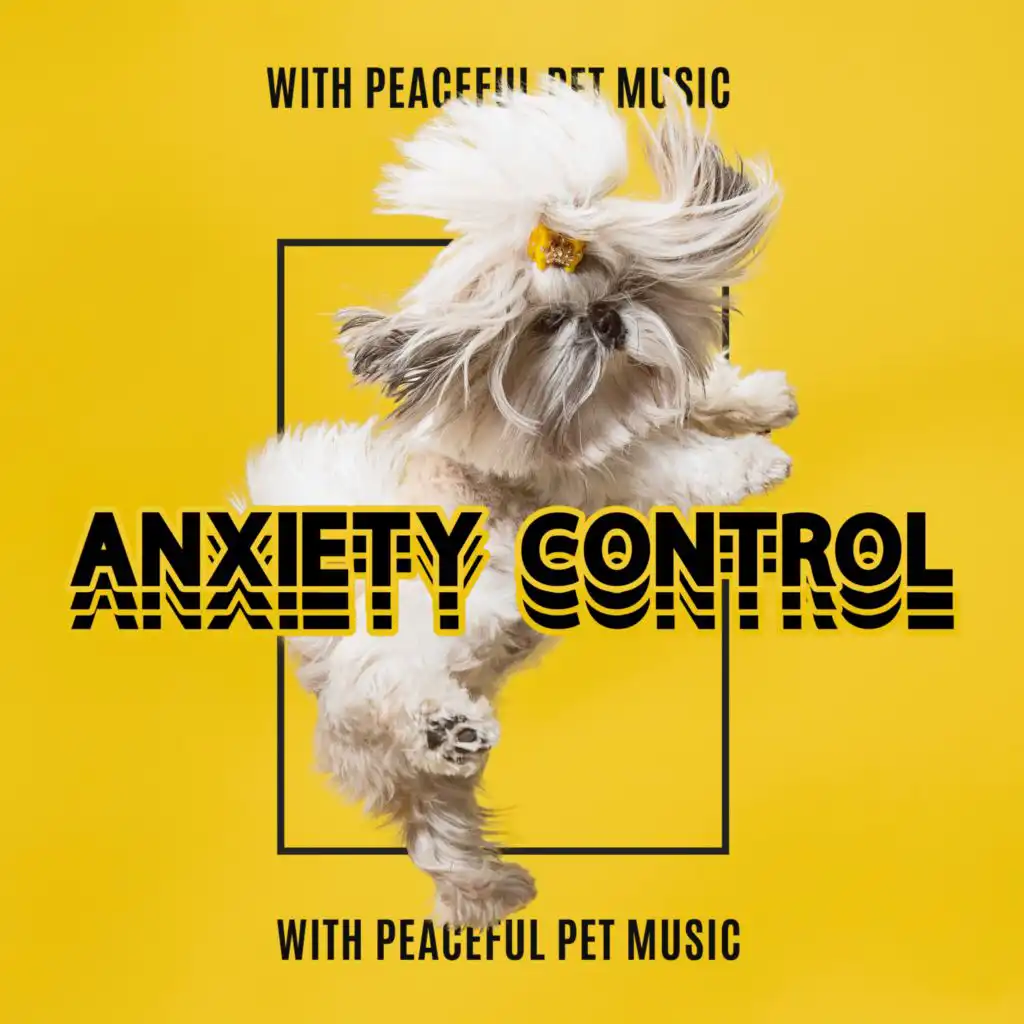 Anxiety Control with Peaceful Pet Music (Healing Dogs Therapy and Calming Space to Play)