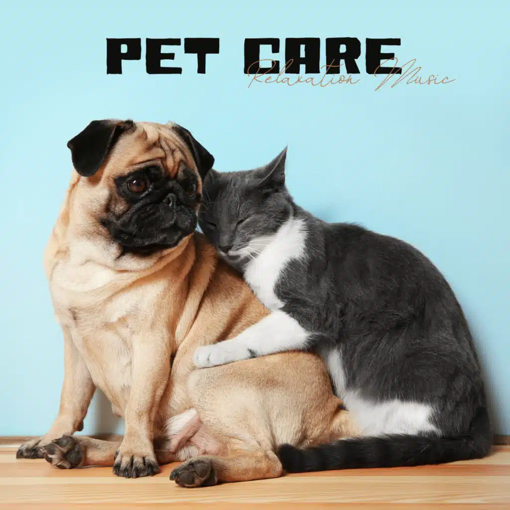 Pet Care - Relaxation Music (Pet Calmness, Freedom, Relaxation Time)